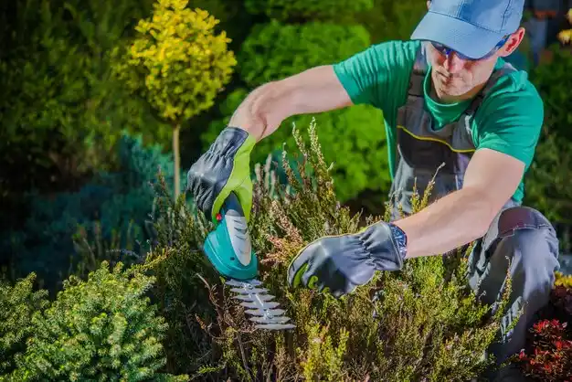 landscaping services Powderly